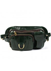 Зеленая сумка на пояс из натуральной кожи Tarwa GE-1560-4lx